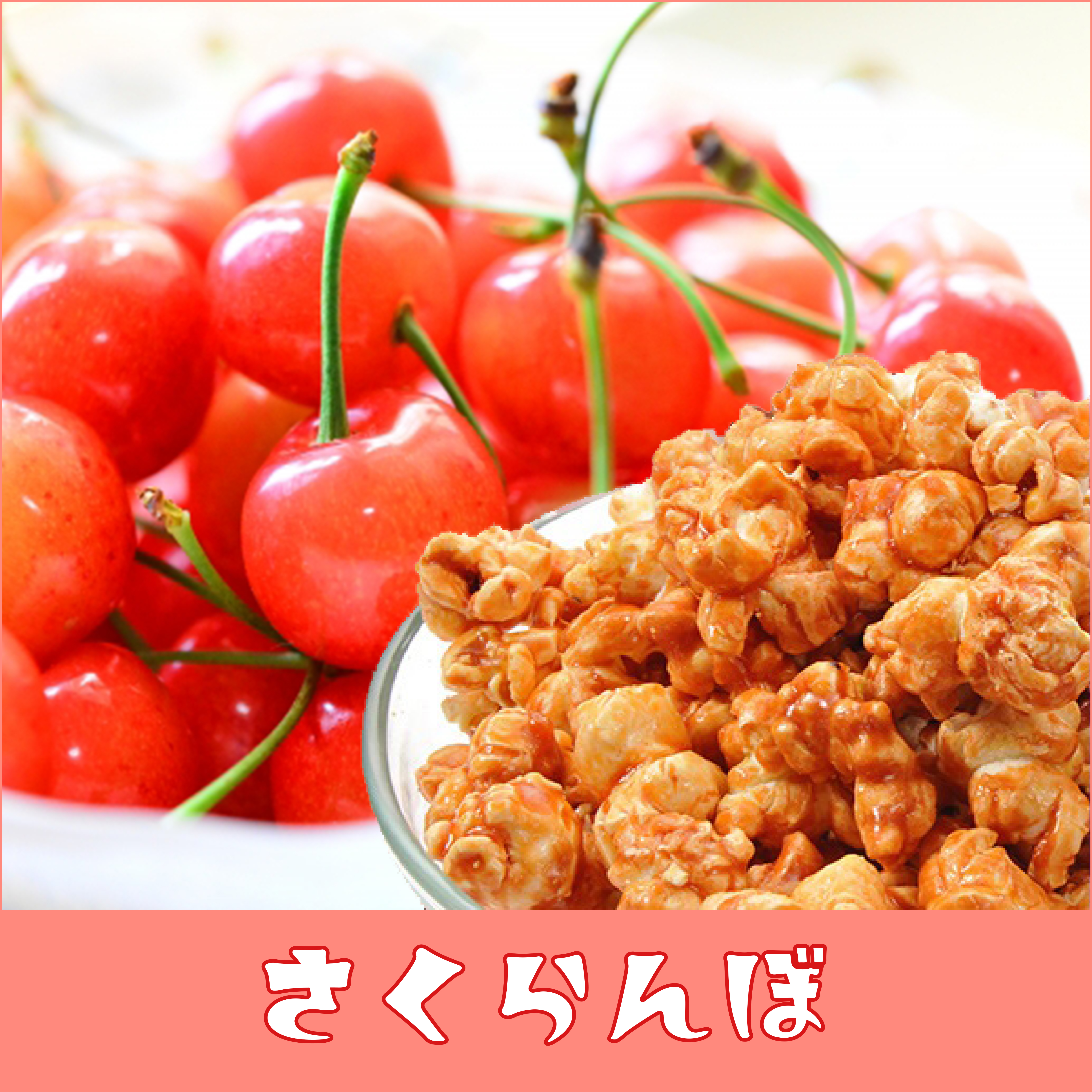おすすめ商品